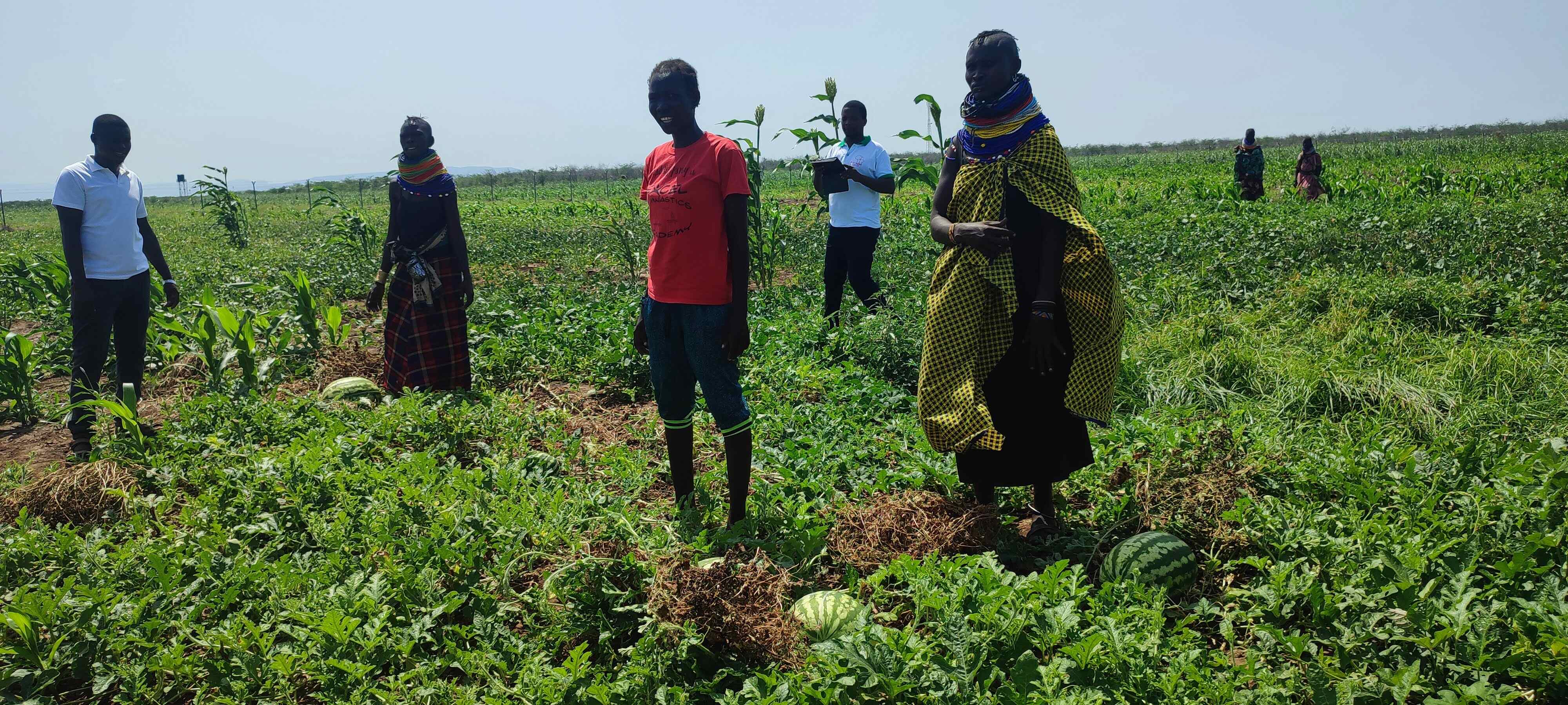 LIVELIHOOD PROGRAM